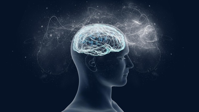 Manfaat Mempelajari Neurosains dalam Pendidikan